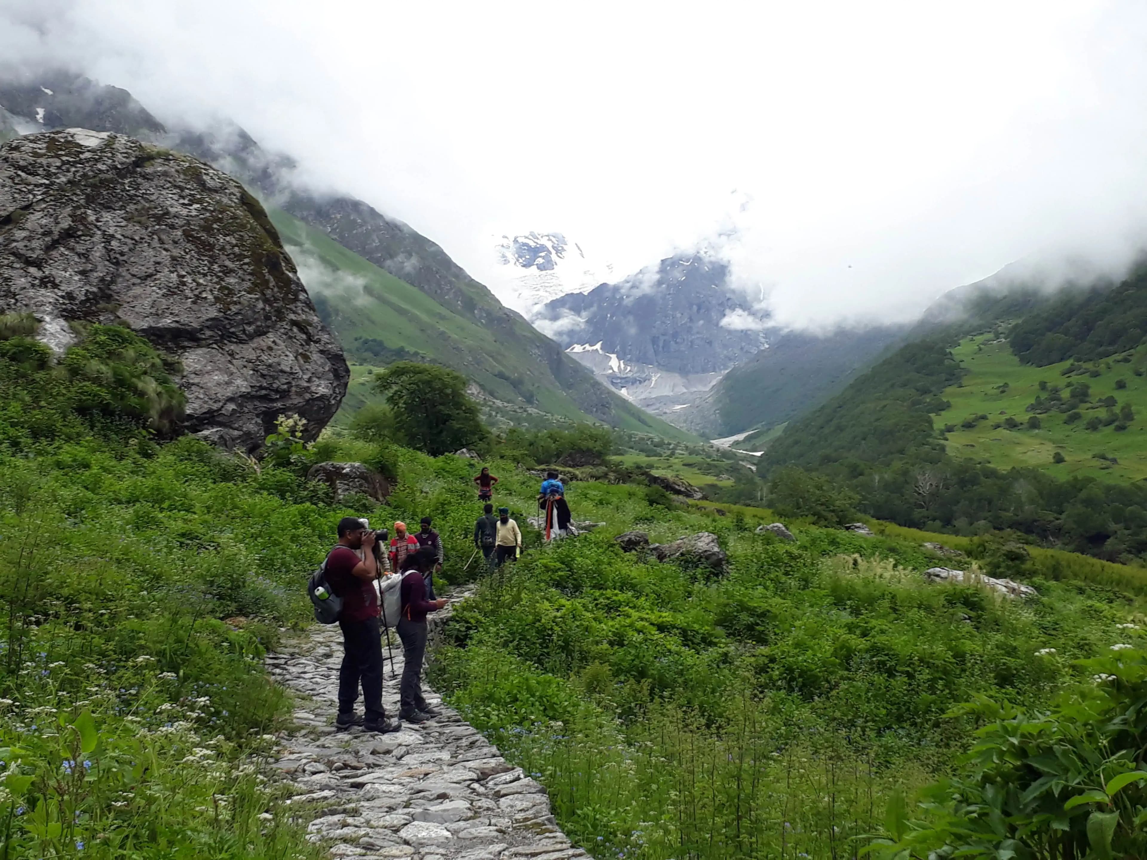 kailash rath treks