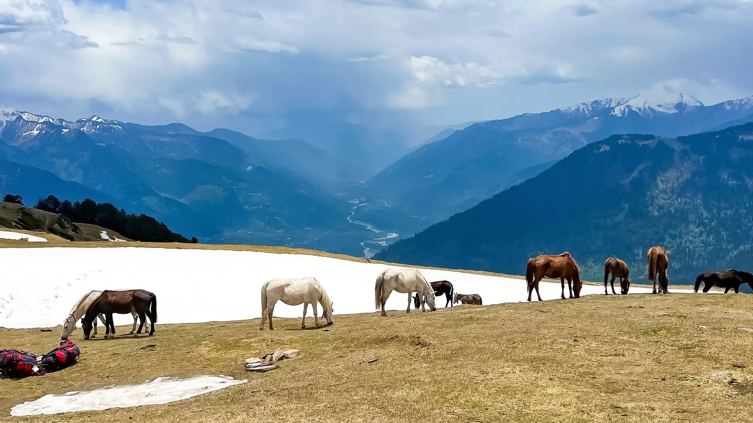 kailash rath treks