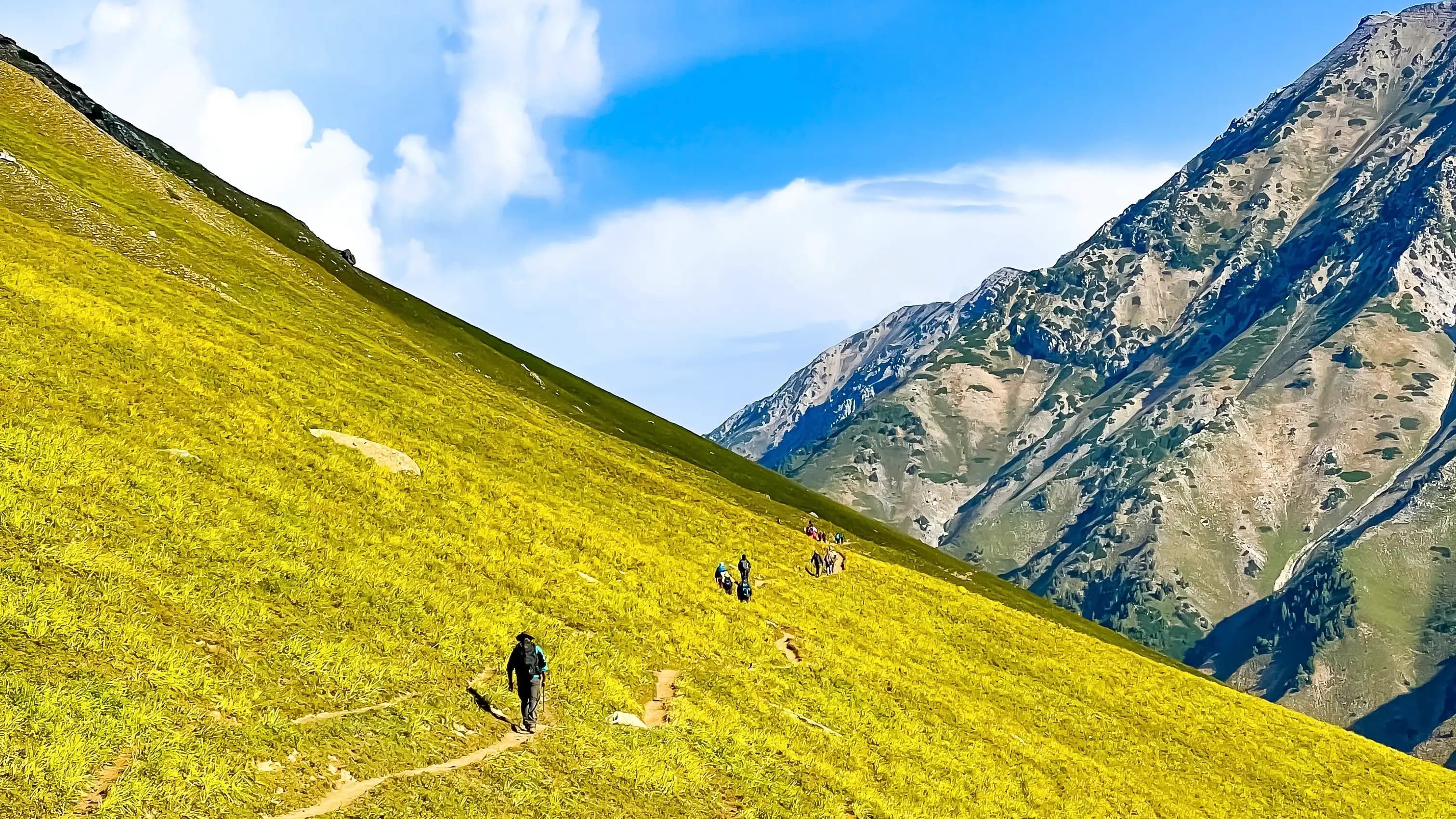 kailash rath treks