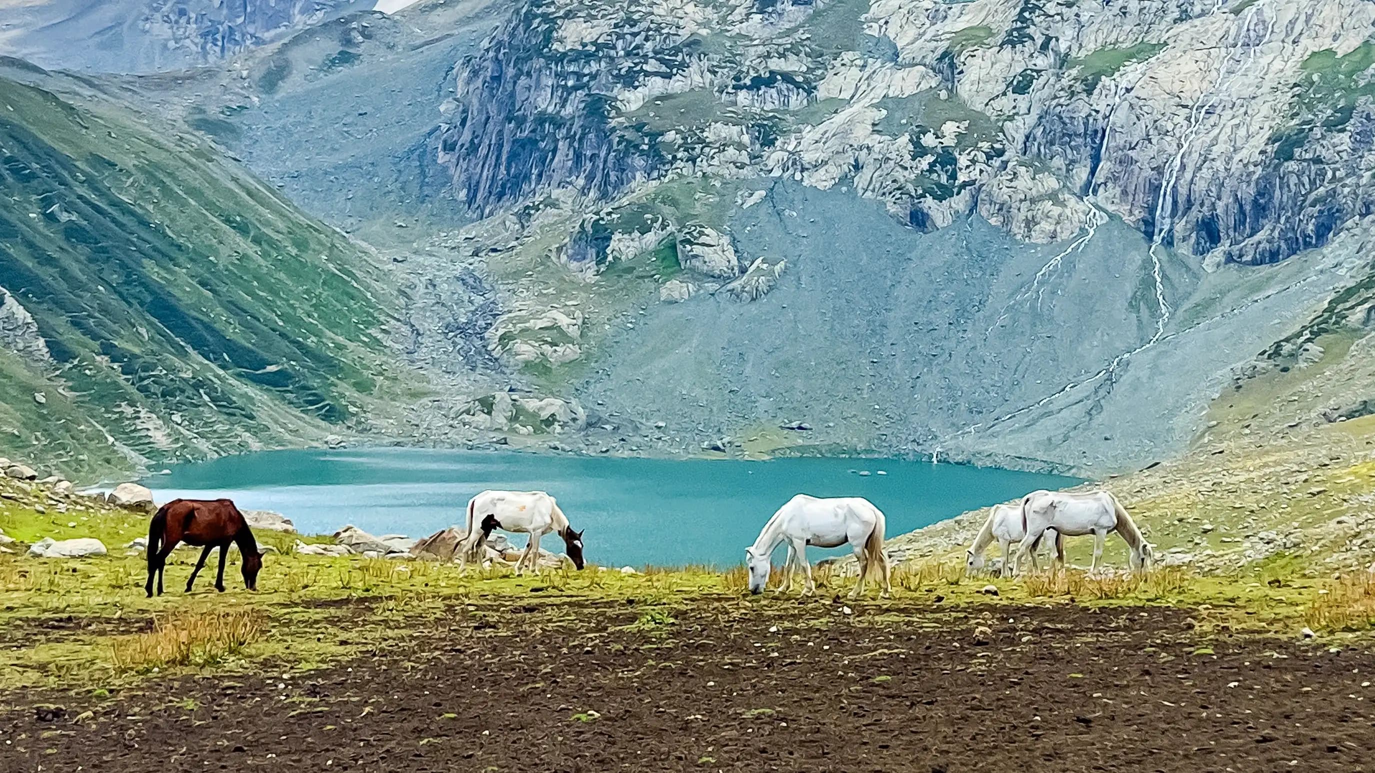 kailash rath treks