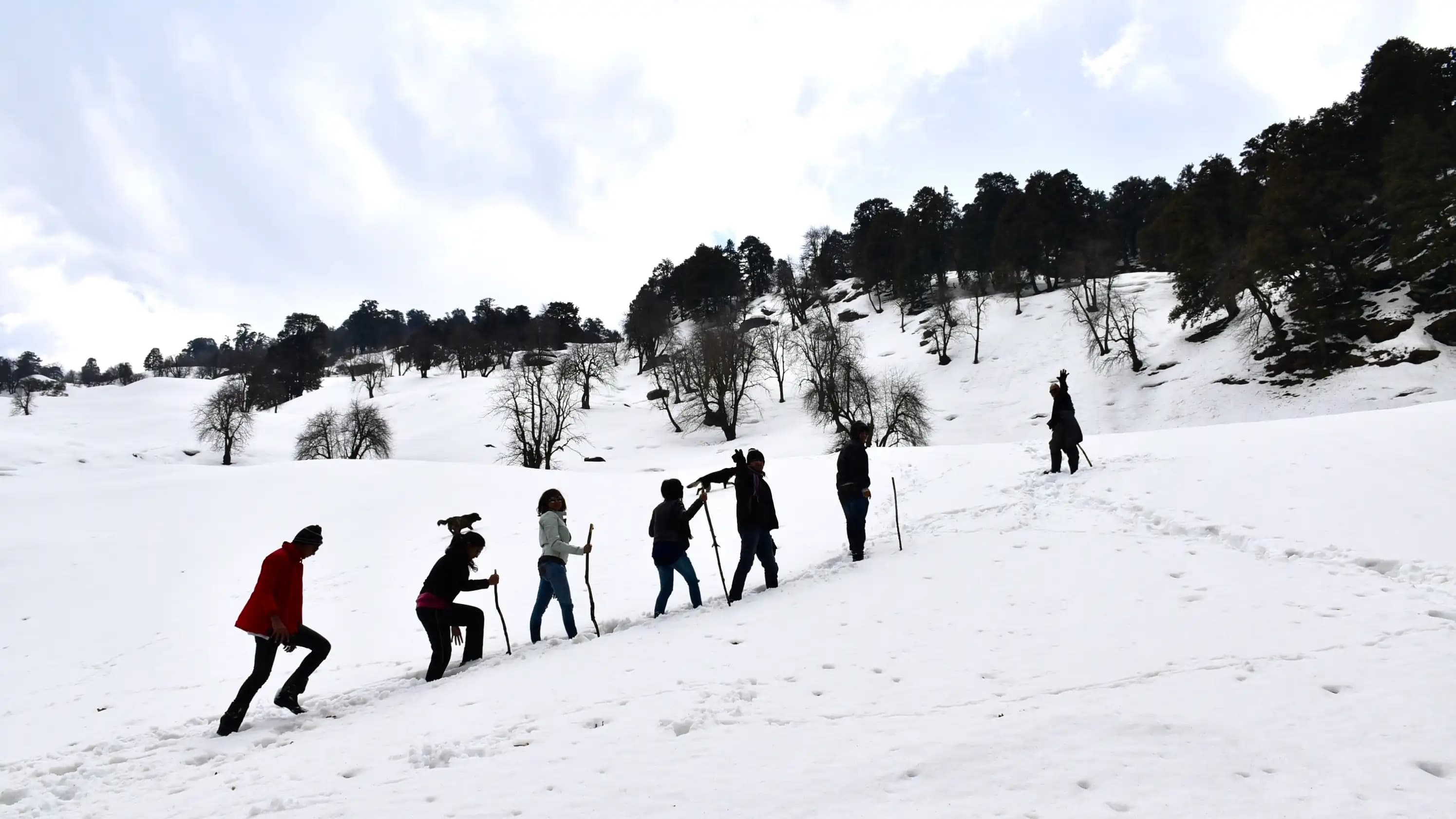 kailash rath treks