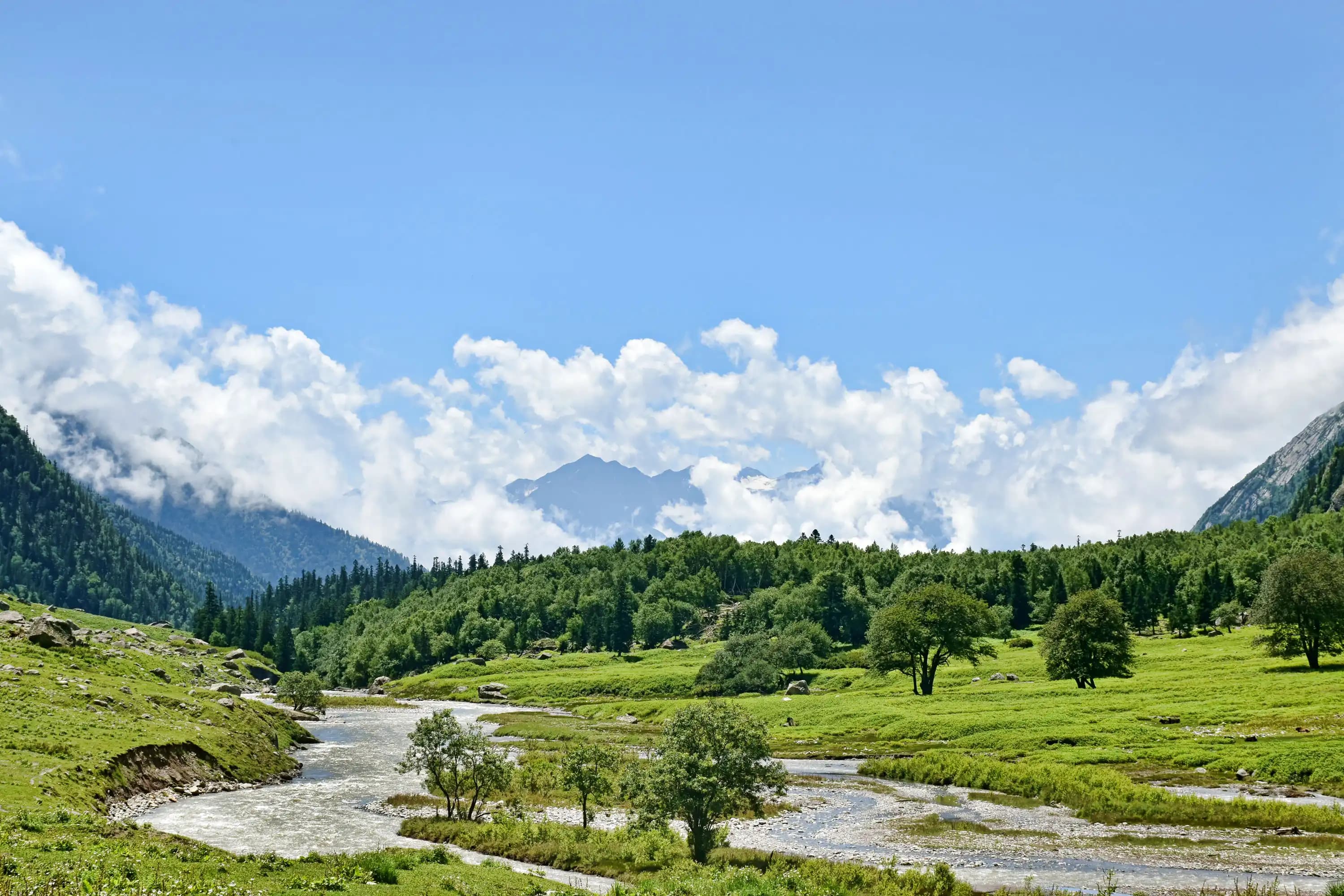 kailash rath treks