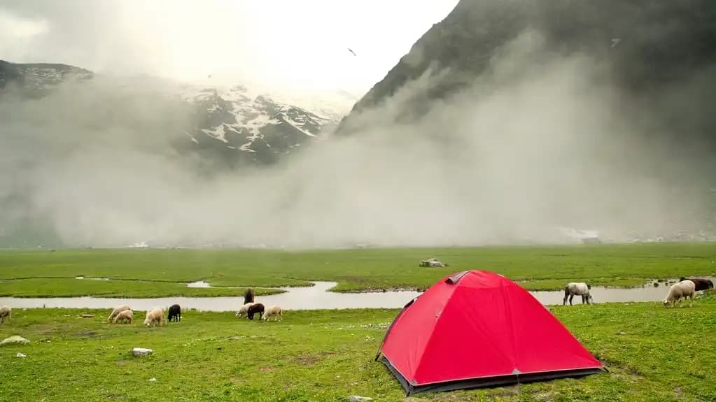 kailash rath treks