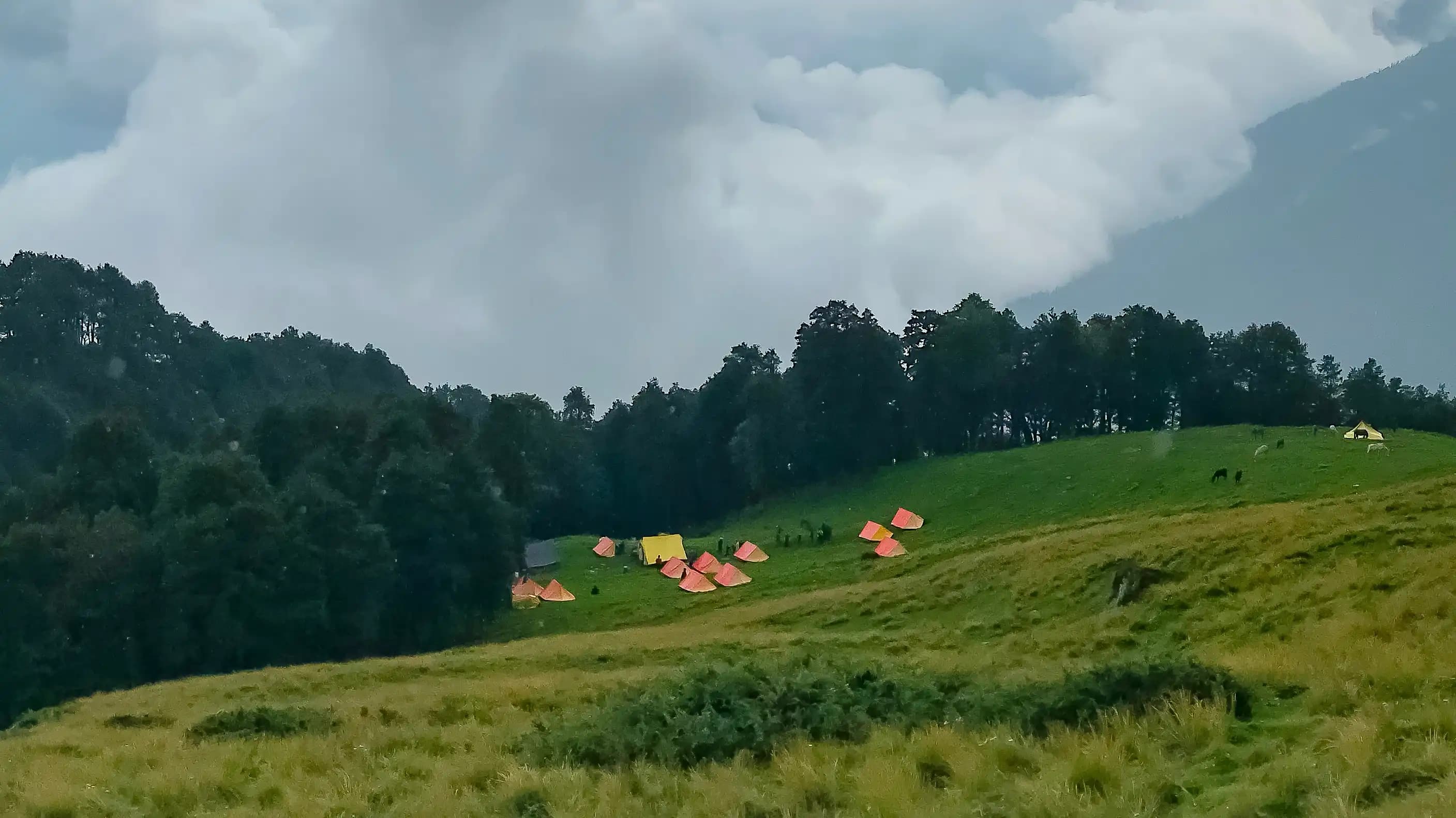 kailash rath treks