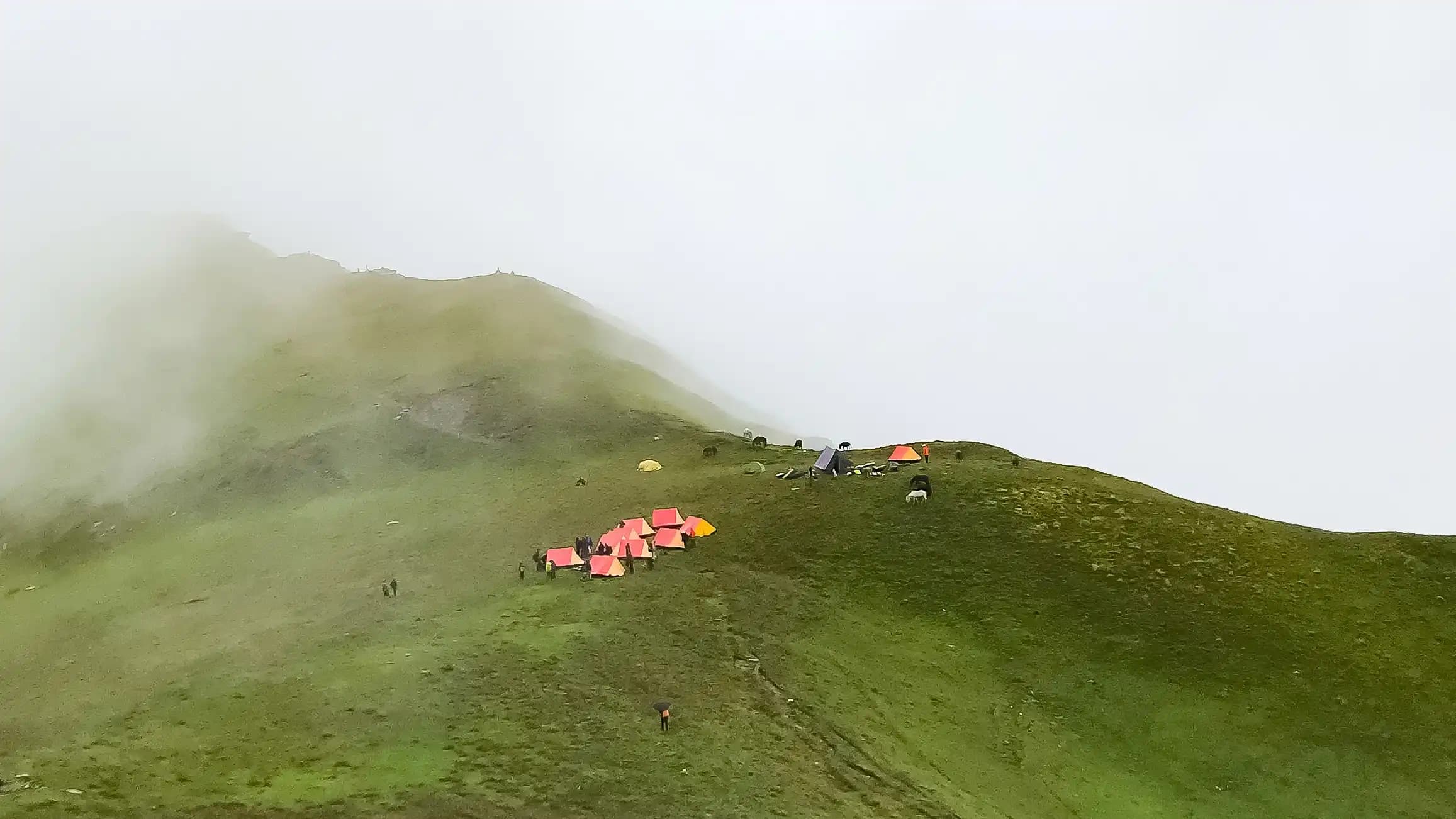 kailash rath treks