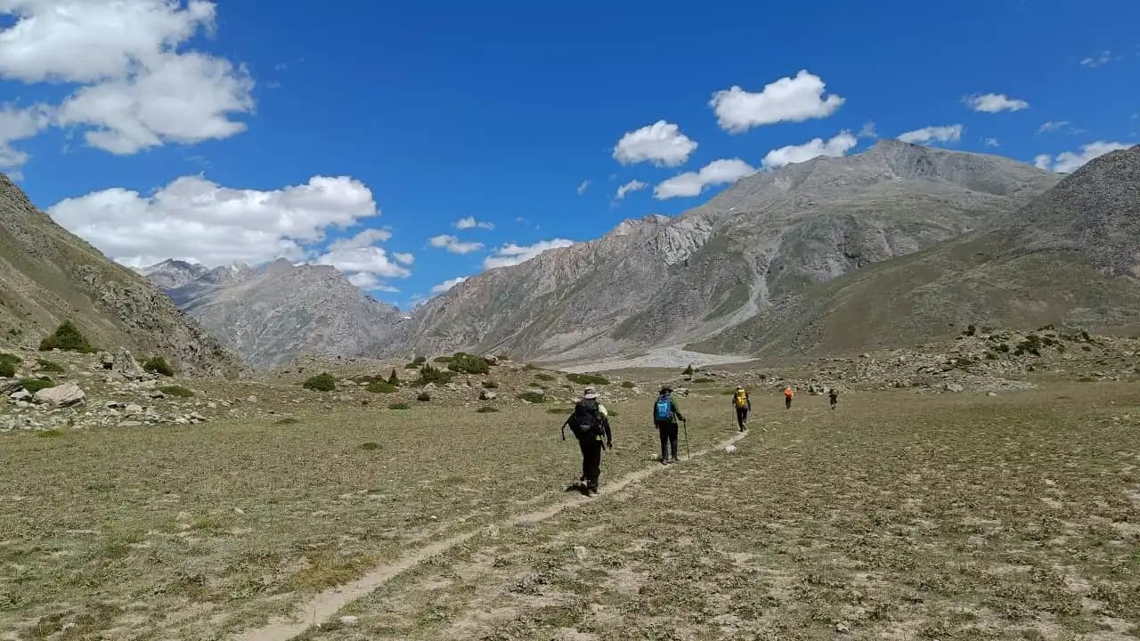 kailash rath treks