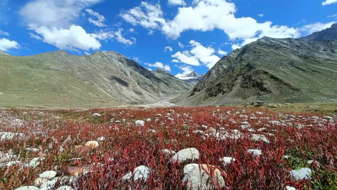 kailash rath treks